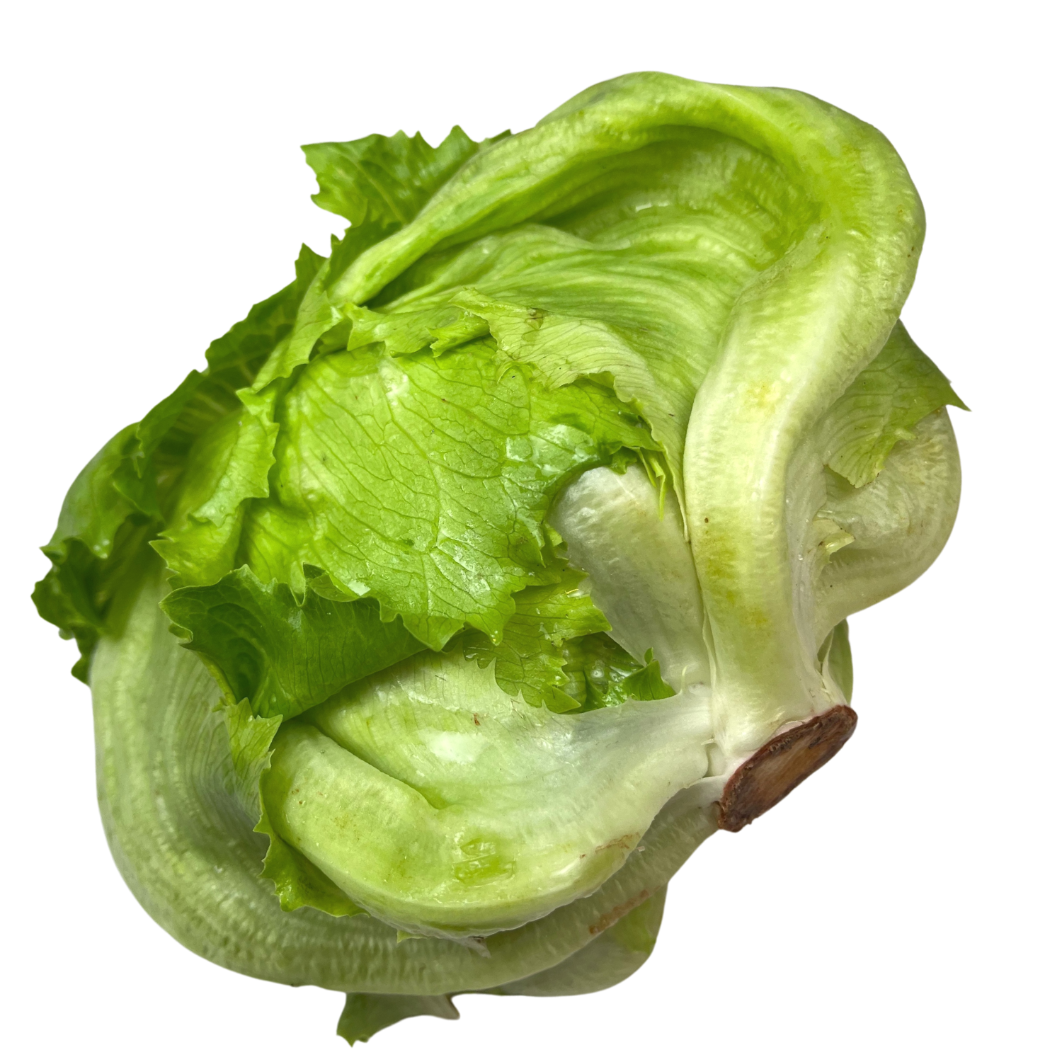 Insalata Iceberg