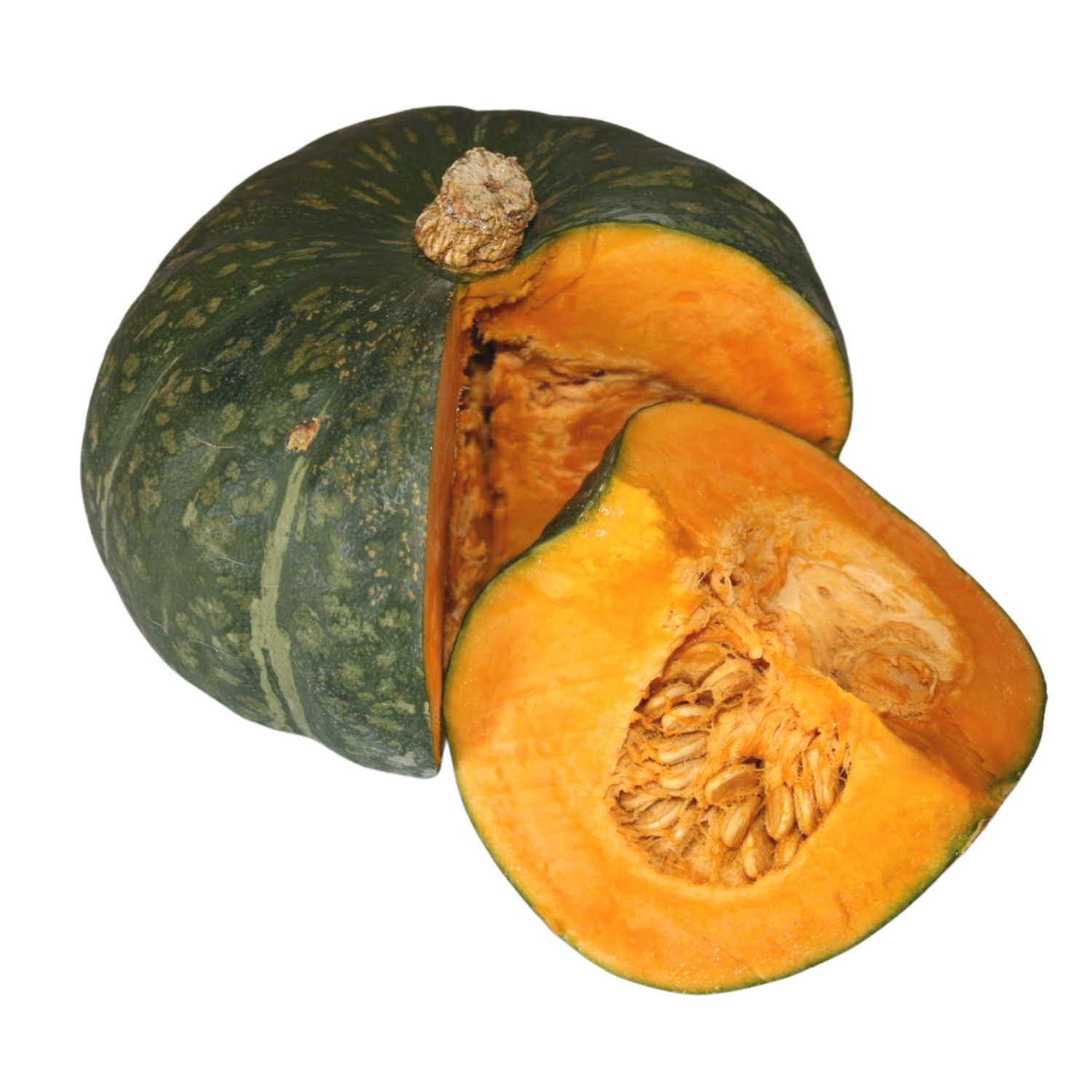 Zucca Delica