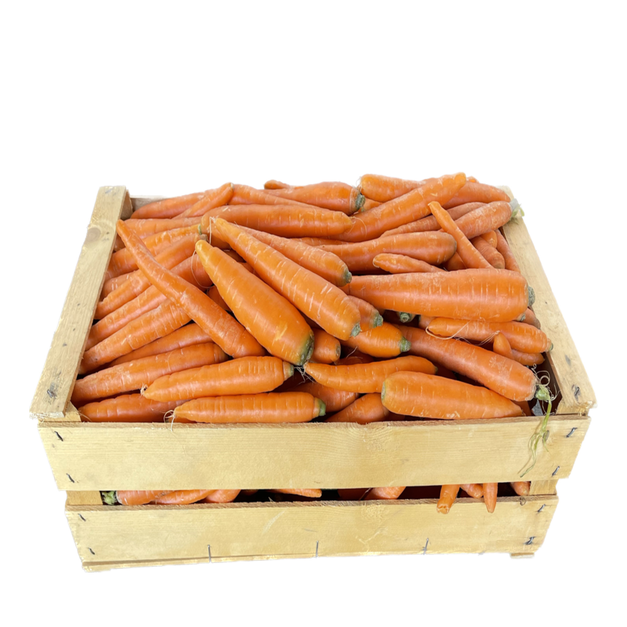 Kiste Karotten 10kg