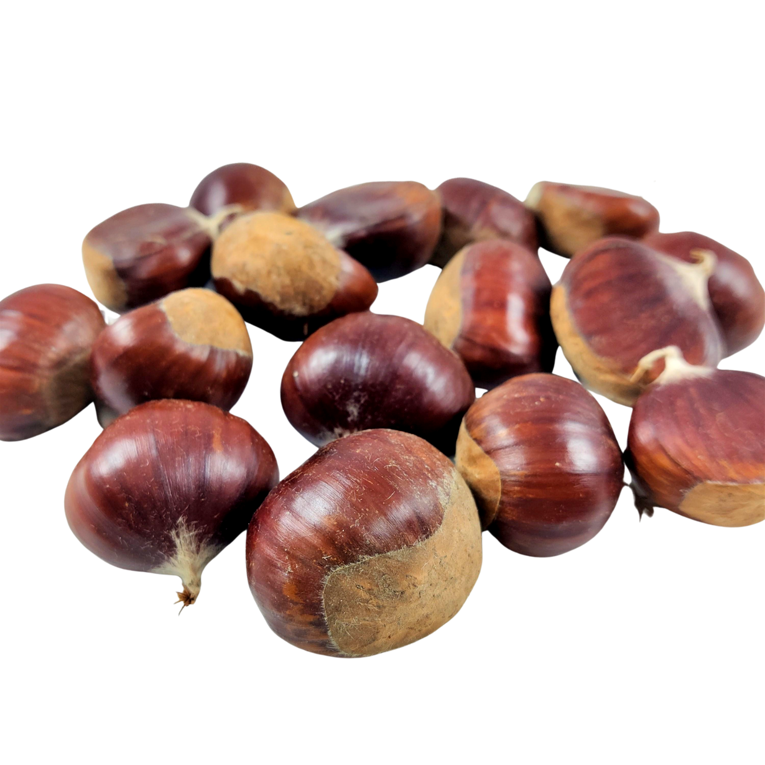 Cassa 10 kg Castagne